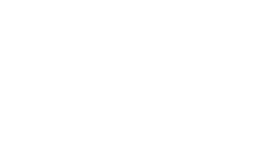 Daily Sun logo