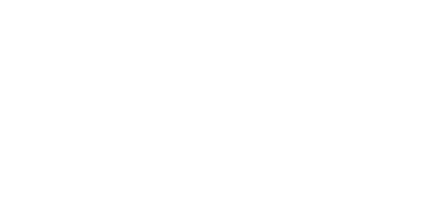 VISI logo